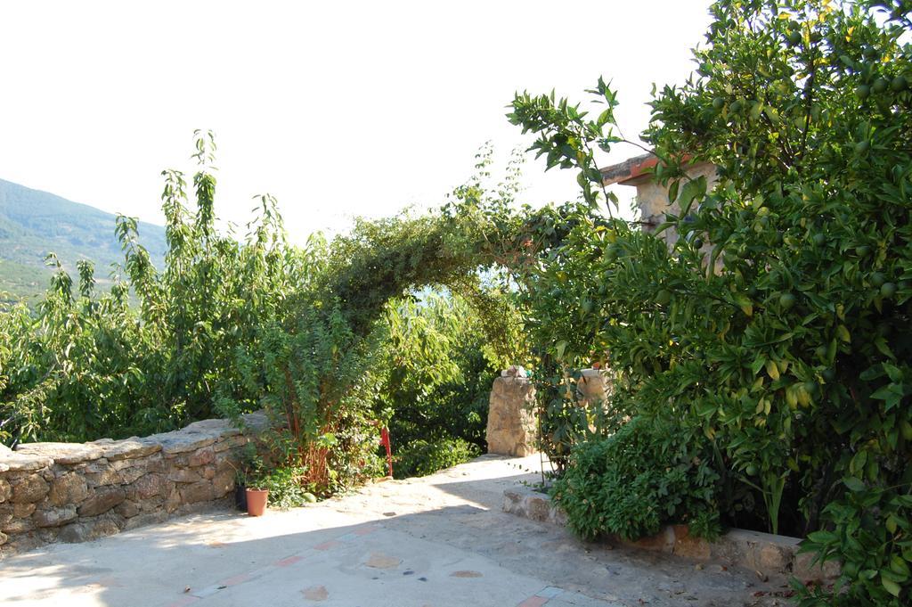 Casas Rurales Carrizosa Navaconcejo Exterior photo